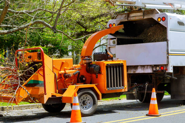 Best Arborist Consultation Services  in Ocklawaha, FL